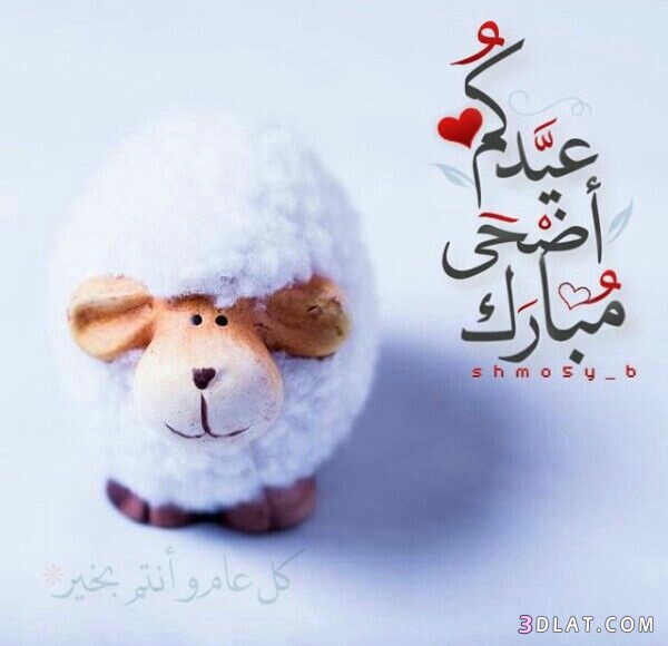 جديد صور تهنئة لعيد الاضحى2025.اجدد بطاقات تهنئة عيد سعيد.صوراضحى مبارك2025