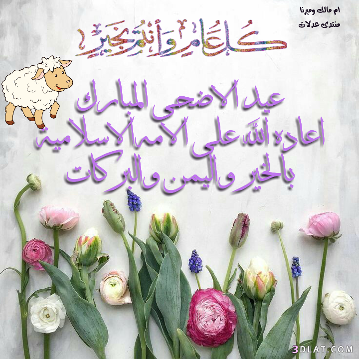 صور تهنئة من تصميمى لعيد الاضحى.كروت تهنئة لعيد الاضحى حصريآلعدلات.اضحى2025