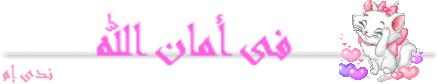 صور لاب توب جنان صور فلاشة جديدة صور ايباد اكسسوارات باللون البينك