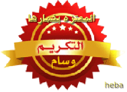 تكريم العضوات المشتركات فى مسابقه تميز عضوات عدلات 1