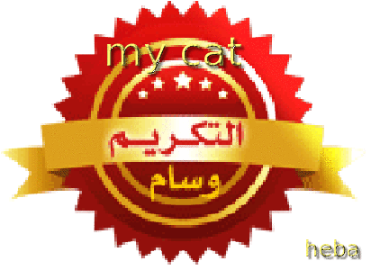تكريم العضوات المشتركات فى مسابقه تميز عضوات عدلات 1