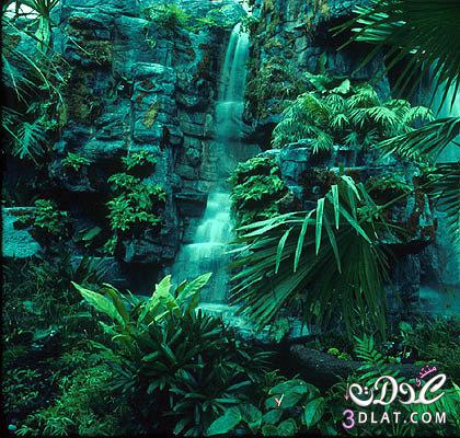 صور طبيعية 2025 صور من الطبيعة مناظر طبيعية ساحرة