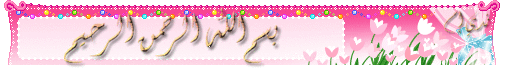 صور اكسسوارات لاحلى قاعات صور كوشات باللون البينك