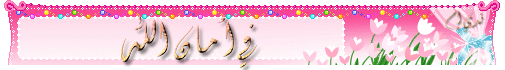 صور اكسسوارات لاحلى قاعات صور كوشات باللون البينك