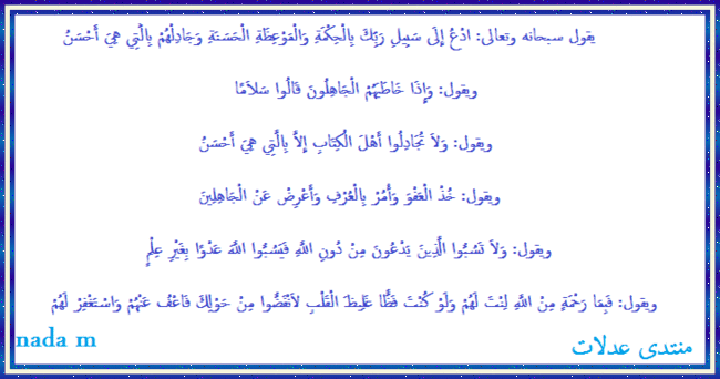 رسالة بسيطة عن التسامح بقلمى آيات التسامح في القرآن الكريم