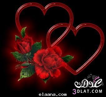 صور ورود طبيعية جميلة , زهور طبيعية روعة , ورود طبيعية
