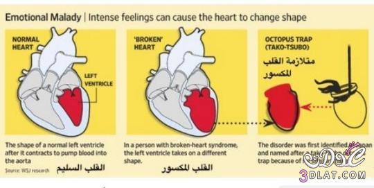 رد: هل تعلم ..!!