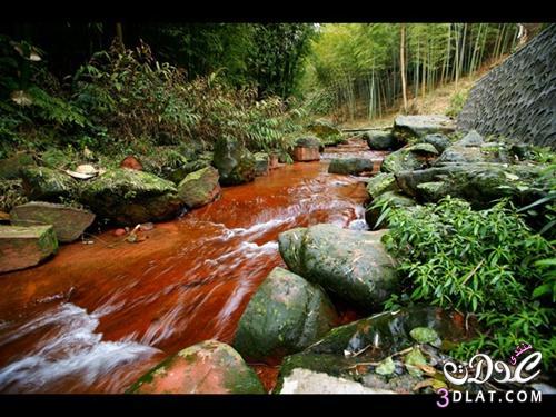 صور بحيرة الخيزران سيتشوان 2025