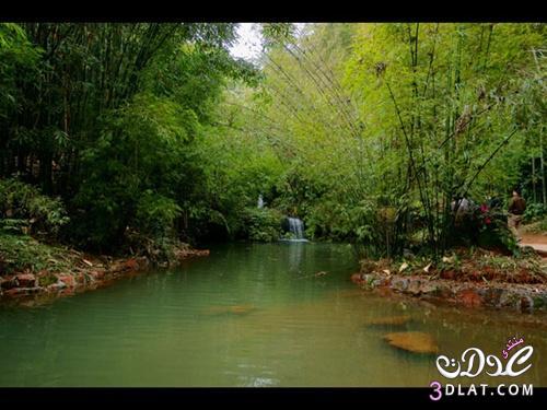 صور بحيرة الخيزران سيتشوان 2025