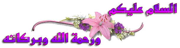شنط بالون البنفسجي 2025