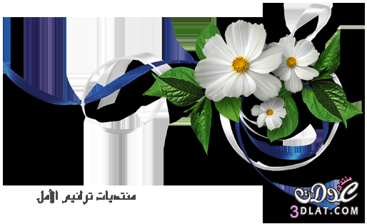 إطارات للتصميم 2025 | اطارات بوربوينت 2025 | اطارات ورود
