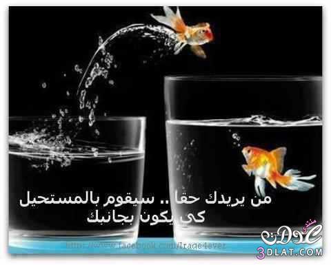 الصداقة في صور خواطر عن الصداقة خواطر2025