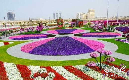 اجمل الصور الطبيعية من حديقة دبي سبحان الخلاق العظيم