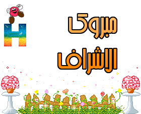 هبة هيثم الف مبروك الاشراف