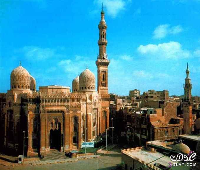 بلدي حبيبتي ام الدنيا يارب احميها 4 (الاسكندرية )