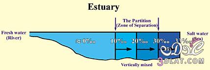 The Quran on Seas and Rivers