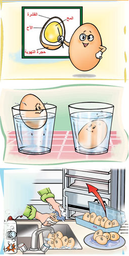 البيض اهميته لطفلك وطريقة تحضيره
