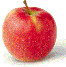 التفاح يقى الجنين من مخاطر الاصابة بالربو