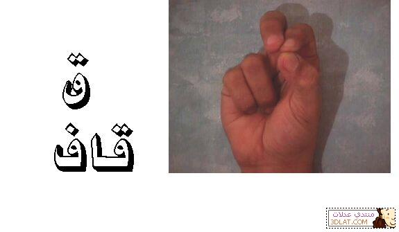 الحروف العربية بلغة الاشارة