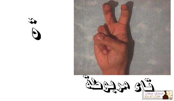 الحروف العربية بلغة الاشارة