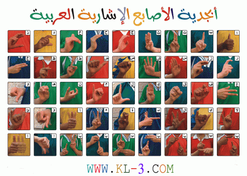 الحروف والارقام  بلغة الإشارة للصم والبكم-بالعربيه والانجليزيه‎