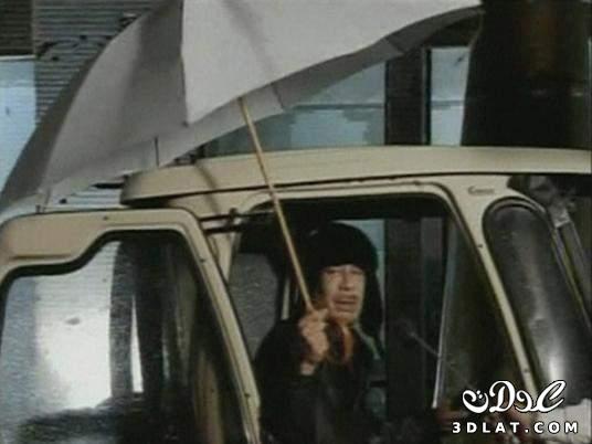 القذافي يهدد ثوار بنغازي: سنبحث عنكم «زنقة زنقة ..حيطة حيطة وحتى الدولاب»