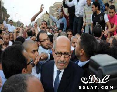 الإخوان ينفون الاعتداء على د/محمد البرادعي ويطالبون بتحقيق فوري
