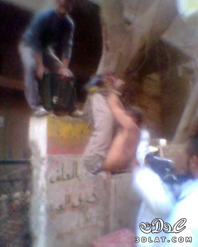مصر : تعليق بلطجي علي شجرة بعد تحرشه بفتاة بالصور
