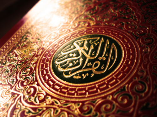 مع القرآن.. أنتِ من الفائزين