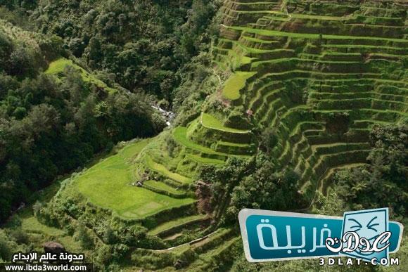 أروع وأغرب مدرجات جبال زراعة الأرز في العالم