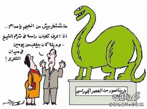 كاريكاتير للفنان عمرو سليم يصف الرئيس السابق مبارك بالتعبان