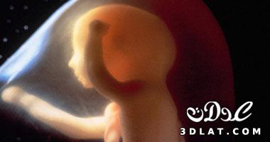 تعرف كيف يؤثر الصيام على الجنين في رحم الأم