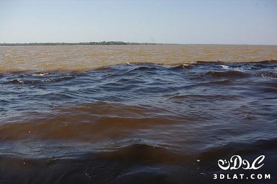 شاهد كيف يلتقى نهر نيجرو مع نهر الأمازون دون أن يختلطا