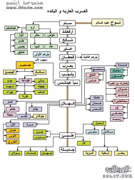 صور لشجرة العرب كاملة