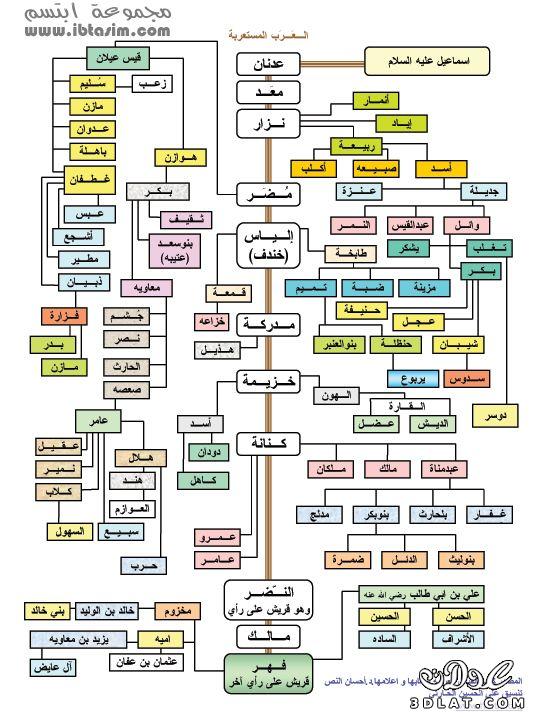 صور لشجرة العرب كاملة