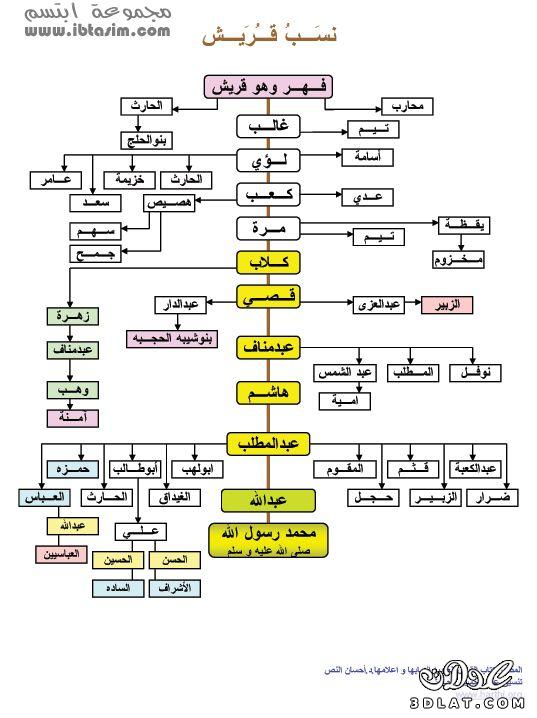 صور لشجرة العرب كاملة