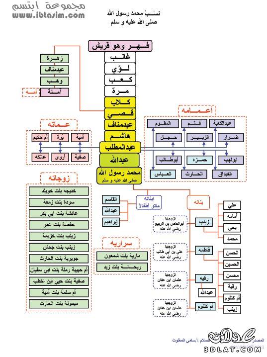 صور لشجرة العرب كاملة