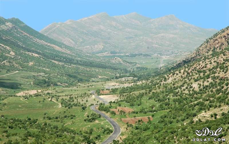 جبال الساحل السورى