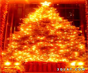 شجرة عيد الميلاد من الذهب الخالص في اليابان