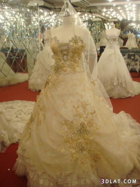 فساتين عروس مميزة2024تشكيلة رائعة من فساتين الزفاف2024فساتين زفاف للعروس 2024