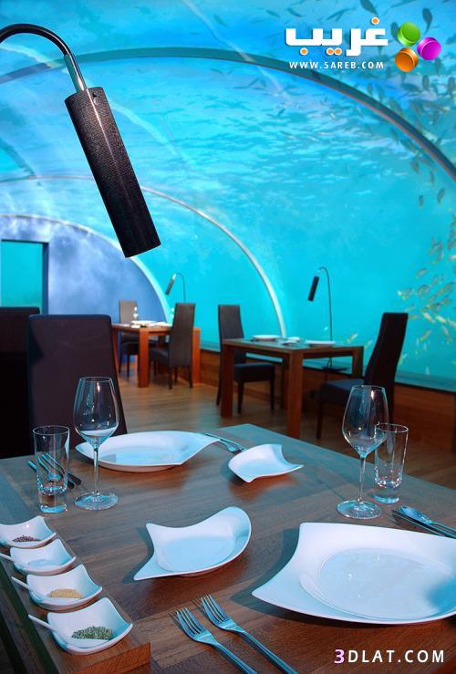 مطعم تحت الماء