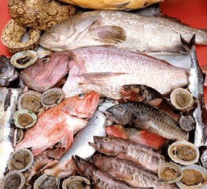 السمك للوقاية من الإصابة بسرطان القولون