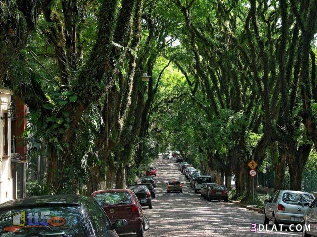 الشارع الأخضر في البرازيل