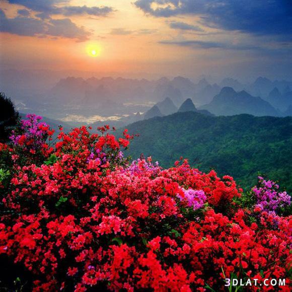 صور للطبيعة الساحرة في الصين