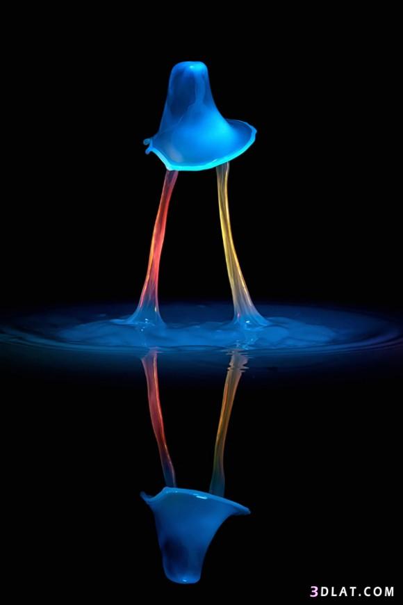 صور رائعة لقطرات الماء بالتصوير فائق السرعة.. للمصور ماركوس ريجلز