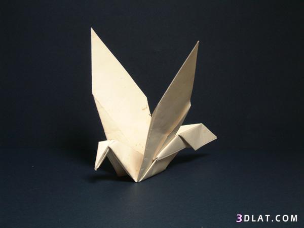 رد: نبذه وصور من فن أوريغامي فن طي الورق origami