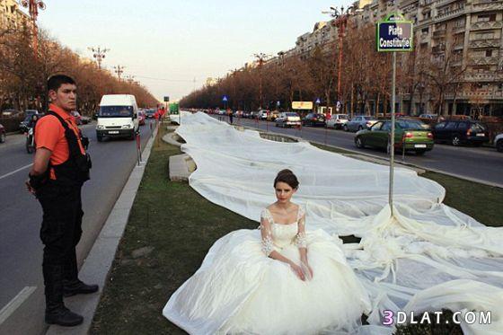 منطاد طائر لعرض طرحة زفاف طولها 2 كيلومتر - صور