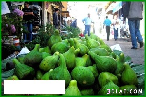 رد: جمال أسواق المغرب الحبيب