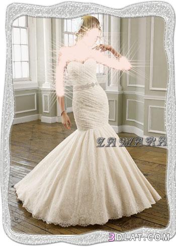أجمل الفساتين لأحلى عروسة :1:
