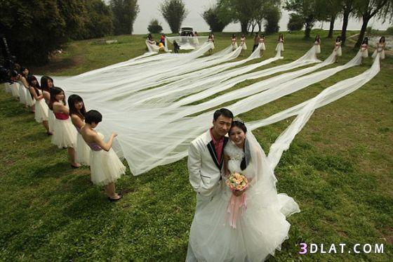 20 فتاة لحمل فستان زفاف طوله 520 مترا